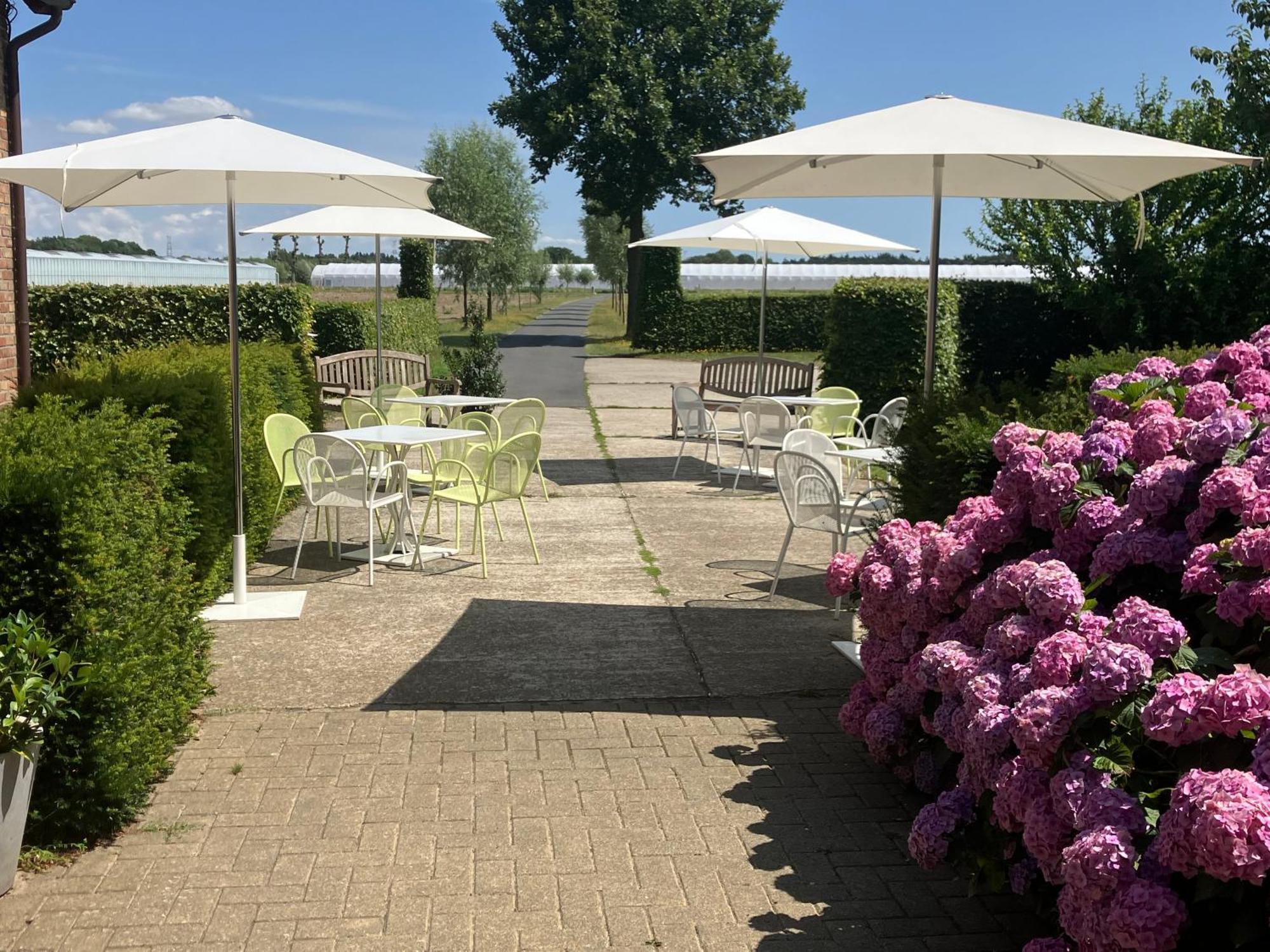 Tannine Et Cuisine Villa Jabbeke  Exterior photo